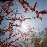 Regards sensibles sur le vivant - exposition jusqu'au 18 décembre